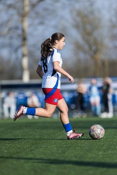 Bild 307 - F Hamburger SV 3 - Blau-Weiss 96 : Ergebnis: 5:1